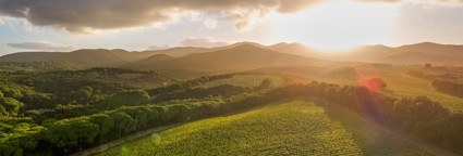 Blick auf die Tenuta del Nicchio