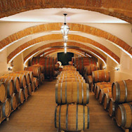 Barriquekeller auf dem Weingut Conti Bossi Fedrigotti, welches mit dem Hause Masi zusammenarbeitet