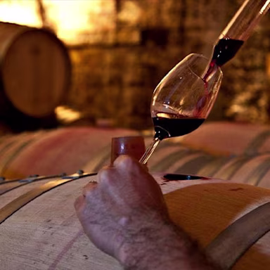 Der Reifegrad des Weins wird degustiert