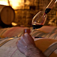 Der Reifegrad des Weins wird degustiert