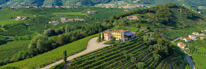 Hauptsitz des Weinguts Canevel oberhalb der eigenen Rebbergen