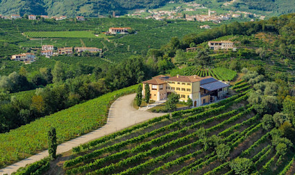 Hauptsitz des Weinguts Canevel oberhalb der eigenen Rebbergen