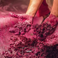 Hände voll roter Traubenmaische