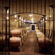 Der Weinkeller der Domaine Jacques Prieur im Burgund