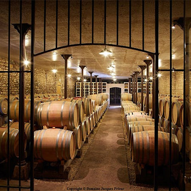 Der Weinkeller der Domaine Jacques Prieur im Burgund