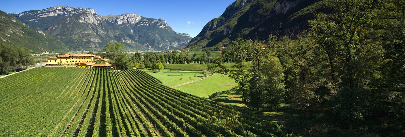 Rebflächen zwischen den Dolomiten der Tenuta San Leonardo im Trento
