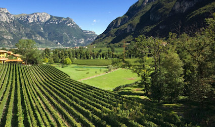 Rebflächen zwischen den Dolomiten der Tenuta San Leonardo im Trento