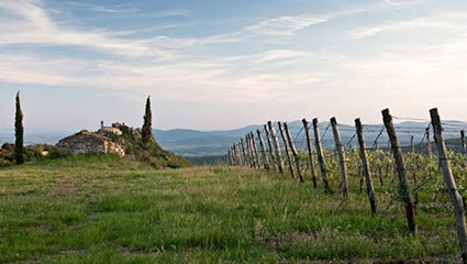 In Italiens «Weinherzen» entstehen Top-Sangiovese und Supertuscans.