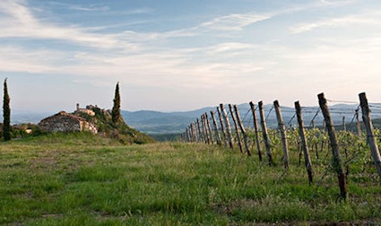 In Italiens «Weinherzen» entstehen Top-Sangiovese und Supertuscans.