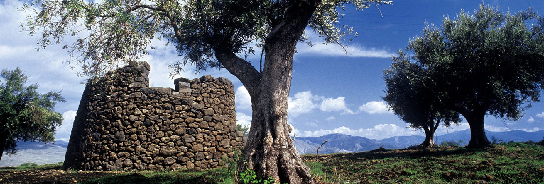 Blauer Himmer über dem Land der Tenuta Tascante