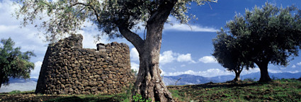 Blauer Himmer über dem Land der Tenuta Tascante