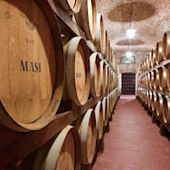 Holzbarrique so weit das Auge reicht im Weinkeller der Masi Agricola