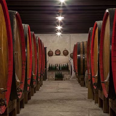 Weinkeller mit vielen Weinfässern auf dem Weingut Eugenio Collavini