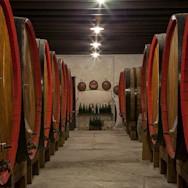 Weinkeller mit vielen Weinfässern auf dem Weingut Eugenio Collavini