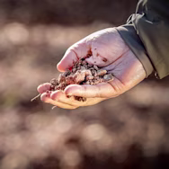Lodovico Antinori zeigt uns die Bodenbeschaffenheit der Tenuta del Nicchio