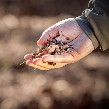 Lodovico Antinori zeigt uns die Bodenbeschaffenheit der Tenuta del Nicchio