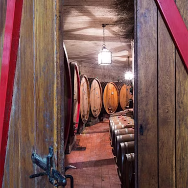 Grosse Holzfässer in den Weinkellern von Umani Ronchi