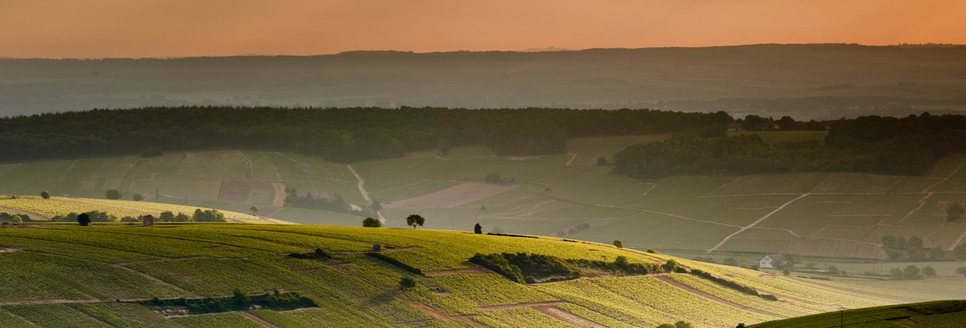 Die weitläufige Landschaft in der Loire