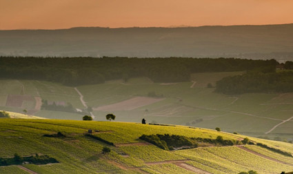 Die weitläufige Landschaft in der Loire