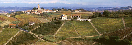 Blick auf die schönen Rebflächen von Bruno Giacosa inmitten der hügeligen Landschaft des Piemonts