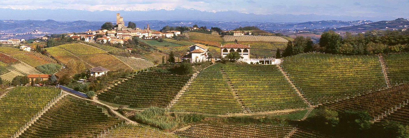 Blick auf die schönen Rebflächen von Bruno Giacosa inmitten der hügeligen Landschaft des Piemonts