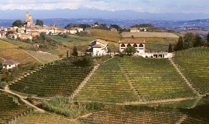 Blick auf die schönen Rebflächen von Bruno Giacosa inmitten der hügeligen Landschaft des Piemonts