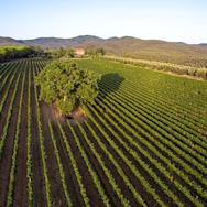 Blick auf die Tenuta di Biserno in der Toskana