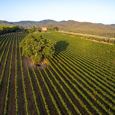 Blick auf die Tenuta di Biserno in der Toskana