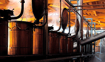 Blick in die Distillerie von Nonino