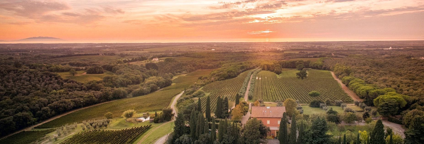 Bordelaiser Ecke der Toskana wird es auch genannt, die Tenuta di Biserno im Besitz von Lodovico Antinori