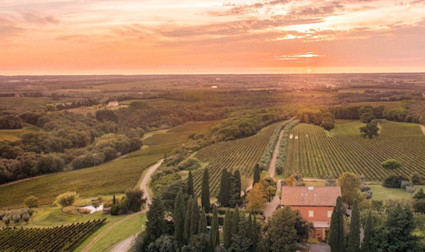Bordelaiser Ecke der Toskana wird es auch genannt, die Tenuta di Biserno im Besitz von Lodovico Antinori