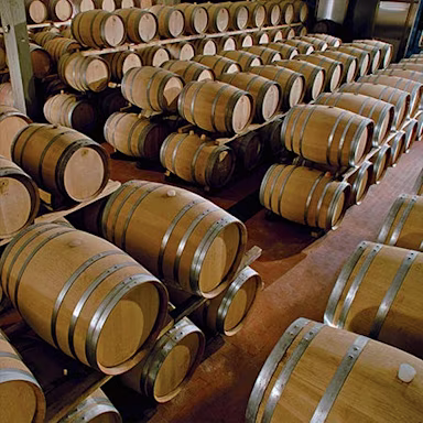 Barriquekeller der Tenuta Teruzzi in der Toskana