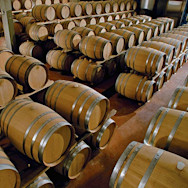 Barriquekeller der Tenuta Teruzzi in der Toskana