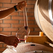 Fassprobe Im Barrique-Keller von Prà