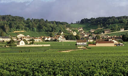 Blick über die Rebbergen der Domaine Henri Delagrange