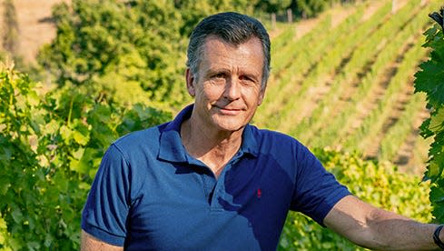 Philipp Hildebrand in den Rebbergen der Tenuta Vergaia