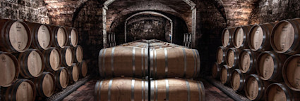 Barriquekeller der Tenuta Tignanello in der Toskana