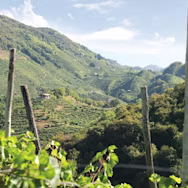 Die Gegend Valdobiadene ist imposant durch ihre hügelige Landschaft