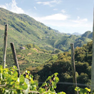 Die Gegend Valdobiadene ist imposant durch ihre hügelige Landschaft