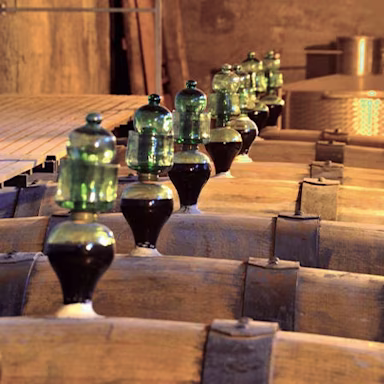 Barrique mit vergorenem Traubensaft im Weinkeller des Produzenten Rivera