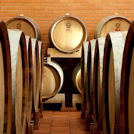Weinfässer im Weinkeller der Tenuta Borgo di Colloredo