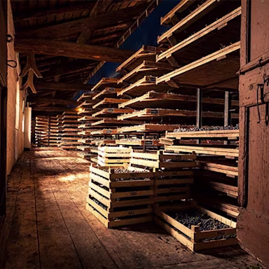 Schilfmatten für das Antrocknen der Trauben für den Amarone