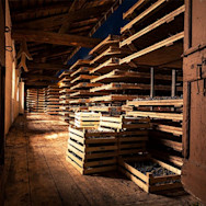 Schilfmatten für das Antrocknen der Trauben für den Amarone