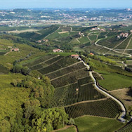 Blick auf die Nebbiolorebberge der Produttori del Barbaresco im Piemont