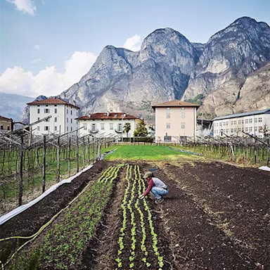 ja-natuerlich-component-001-asset1