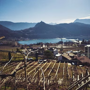 ja-natuerlich-component-004-asset1