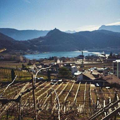 ja-natuerlich-component-004-asset1