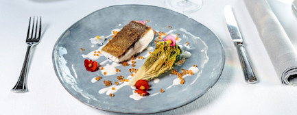 Saiblingsteak Titelbild Desktop