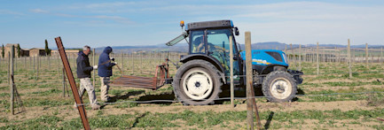 nachhaltig-mit-groesse-coverImage