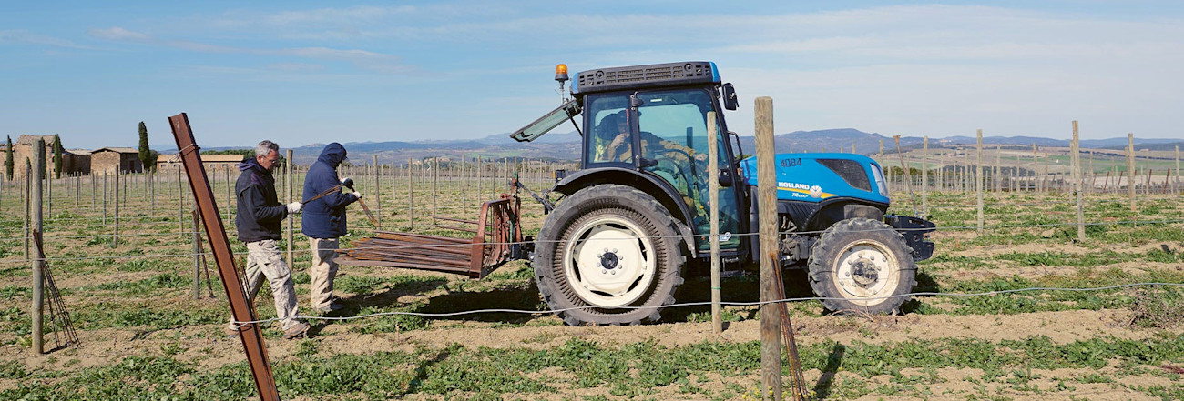 nachhaltig-mit-groesse-coverImage